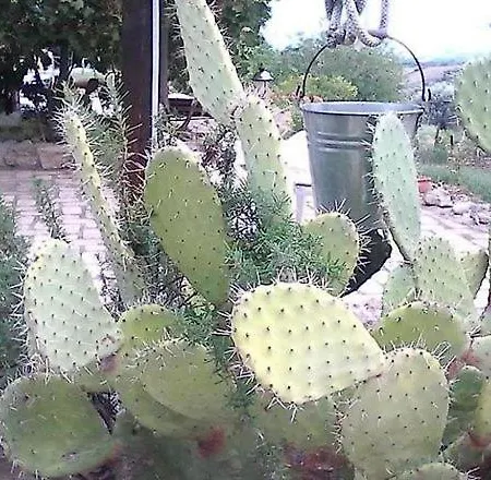 La Tenuta *